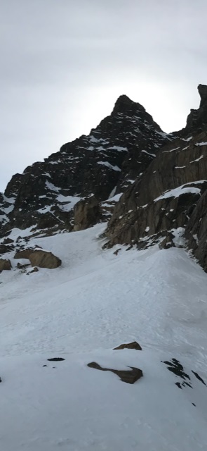 Aim for the Bushes. Photo: Jason Leach.