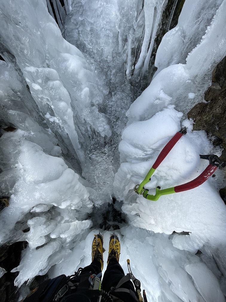 Caribou Loo. Photo: Shane Ohm