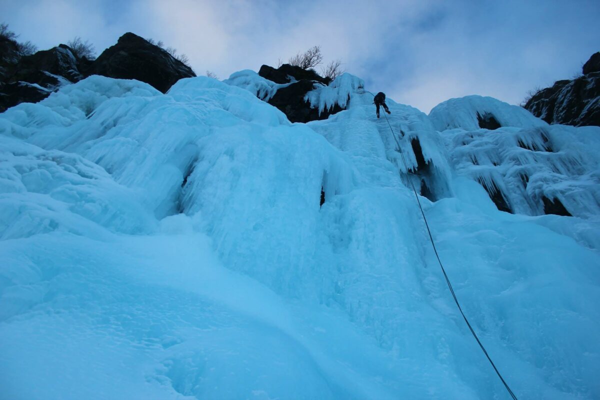 Devils Club in My Crotch