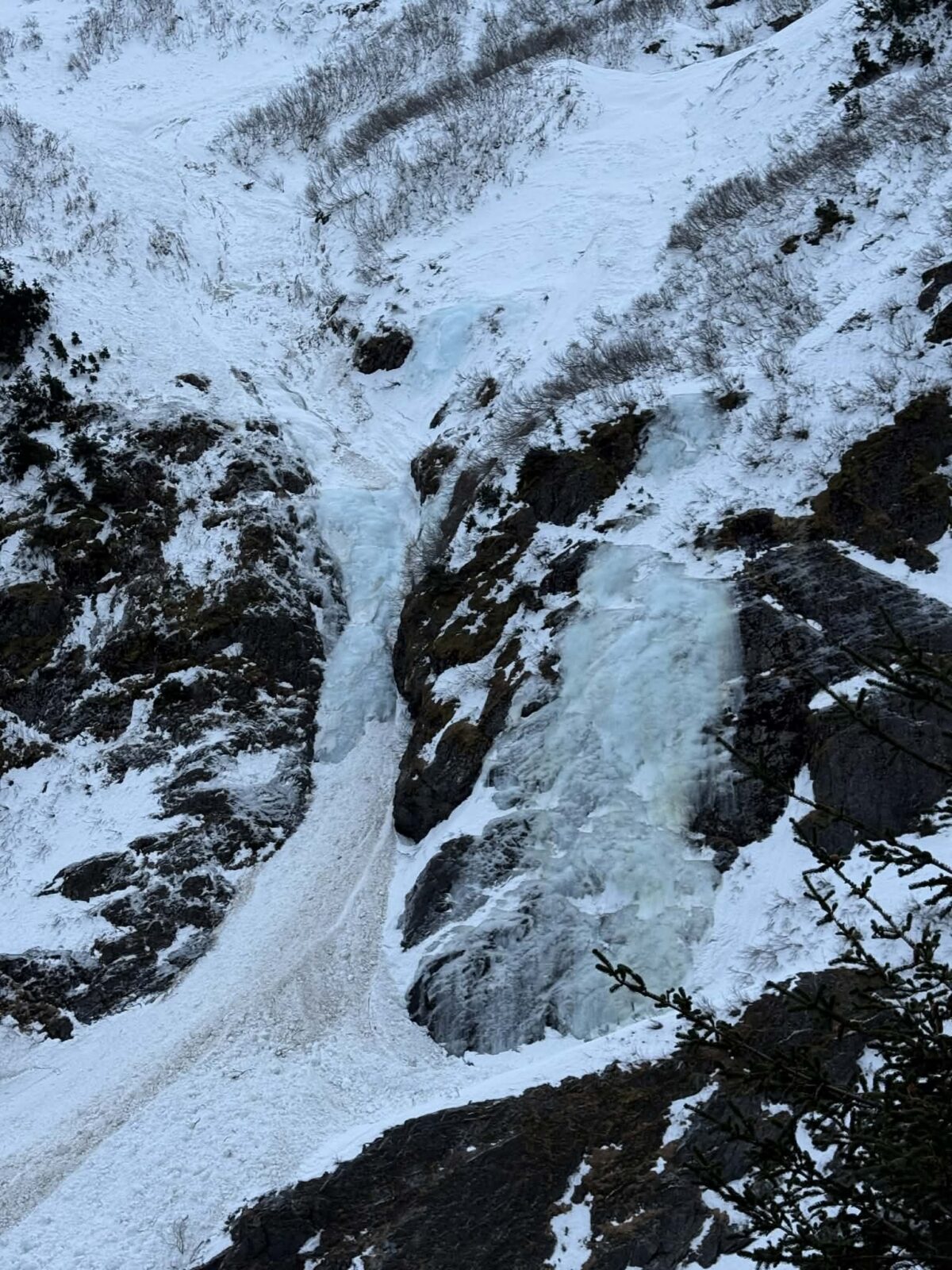 Death Lizard and Rainbow Bridge